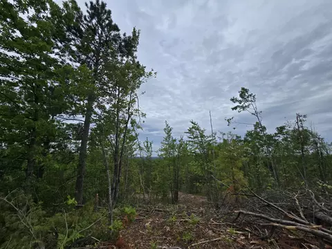 1420 S Mt Tom Rd, Mio, MI 48647 photo 50