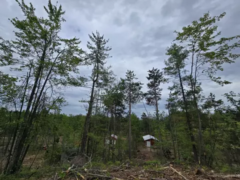 1420 S Mt Tom Rd, Mio, MI 48647 photo 55
