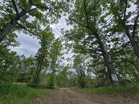 1420 S Mt Tom Rd, Mio, MI 48647 photo 70