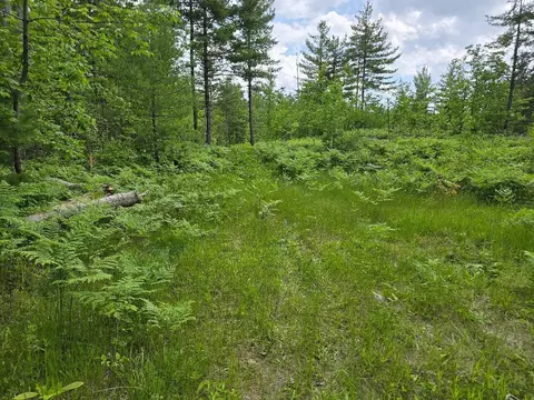 mcwilliams lake road LOT S 17 & 18, Hawks, MI 49743