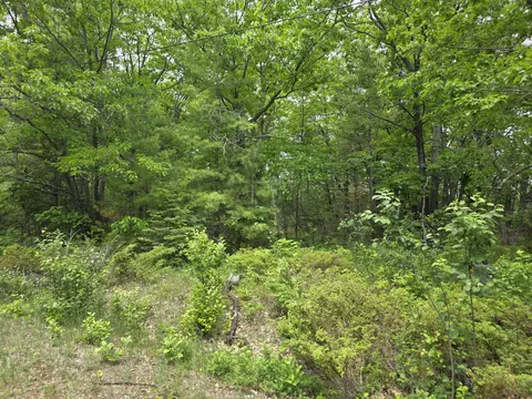 balsam circle LOT S 470, Presque Isle, MI 49777