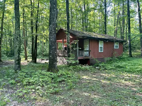 4983 Blackberry Ln, Elmira, MI 49730