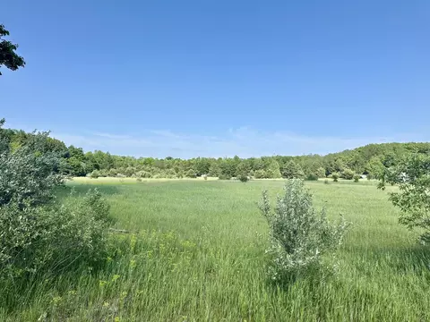 King Road, Grayling, MI 49738 photo 3