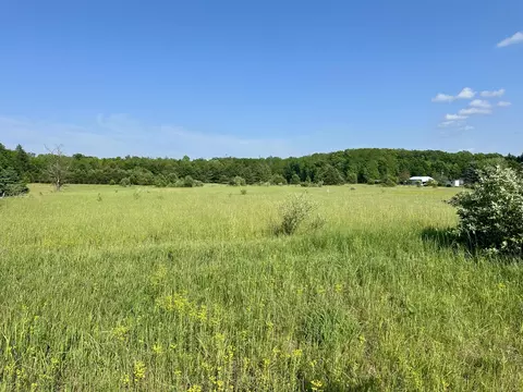 King Road, Grayling, MI 49738 photo 4