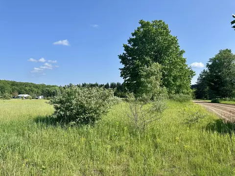 King Road, Grayling, MI 49738 photo 5
