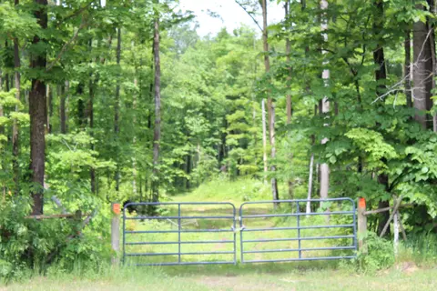 00 Soderquiest #20 ACRES, Mancelona, MI 49659