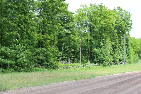 00 Soderquiest #20 ACRES, Mancelona, MI 49659 photo 6