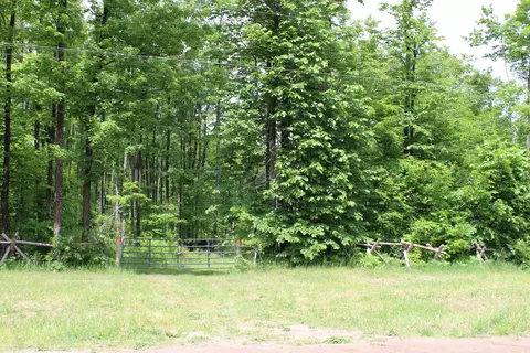 00 Soderquiest #20 ACRES, Mancelona, MI 49659 photo 5