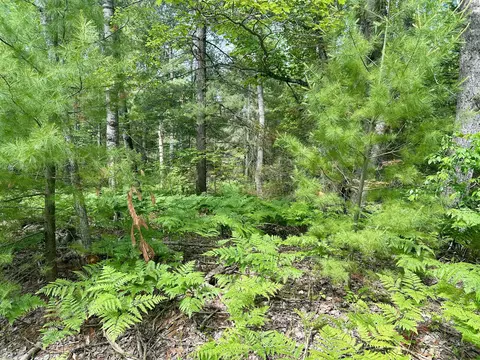 14560 E Shoreline Dr #LOT 88, Wolverine, MI 49799