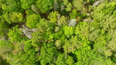lot749 Tamarack Trl, Beaver Island, MI 49782