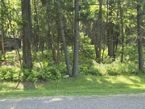 V/l Danish Landing Road, Grayling, MI 49738
