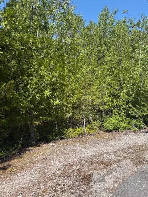lot15 Tip Top Ct, Presque Isle, MI 49777