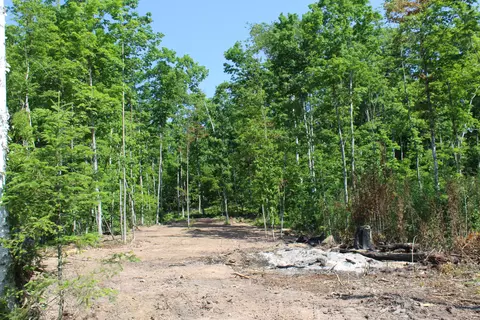 00 Mcgahn #115 ACRES, Germfask, MI 49836 photo 4