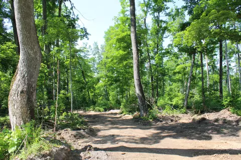 00 Mcgahn #115 ACRES, Germfask, MI 49836 photo 9