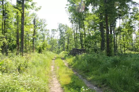 00 Mcgahn #115 ACRES, Germfask, MI 49836 photo 19