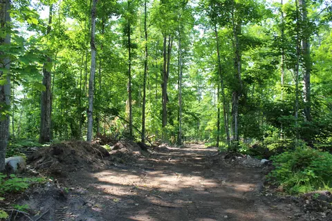 00 Mcgahn #115 ACRES, Germfask, MI 49836 photo 8