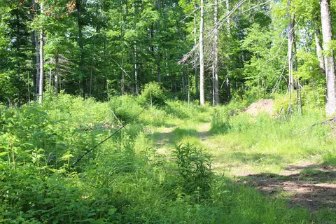 00 Mcgahn #115 ACRES, Germfask, MI 49836 photo 10