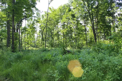 00 Mcgahn #115 ACRES, Germfask, MI 49836 photo 18