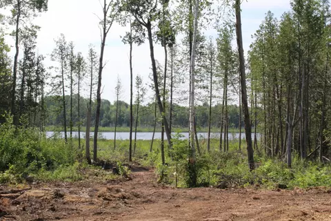 00 Mcgahn #115 ACRES, Germfask, MI 49836