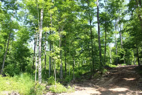 00 Mcgahn #115 ACRES, Germfask, MI 49836 photo 5