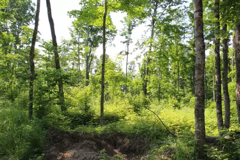 00 Mcgahn #115 ACRES, Germfask, MI 49836 photo 17