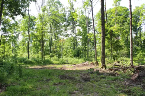00 Mcgahn #115 ACRES, Germfask, MI 49836 photo 13