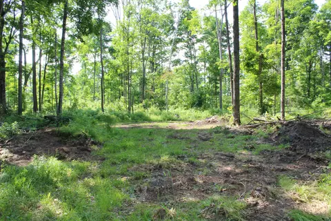 00 Mcgahn #115 ACRES, Germfask, MI 49836 photo 12