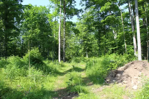 00 Mcgahn #115 ACRES, Germfask, MI 49836 photo 14