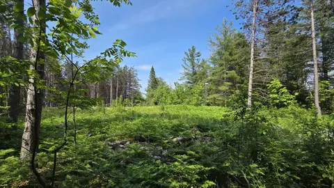 18862 N Old Mackinaw Rd, Mackinaw City, MI 49701
