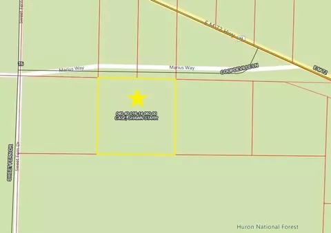 2668 Coopdeville Ln, Grayling, MI 49738 photo 2