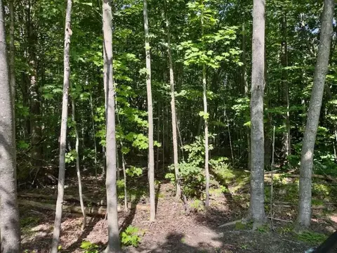 2668 Coopdeville Ln, Grayling, MI 49738