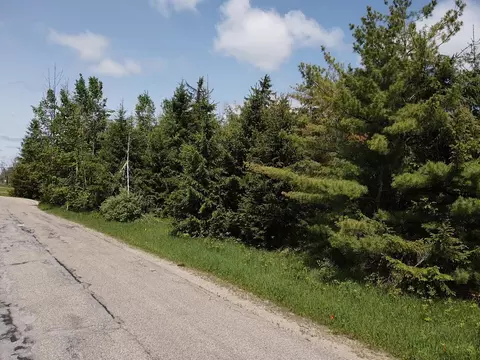 lot1 E West Resort Rd, Alanson, MI 49706