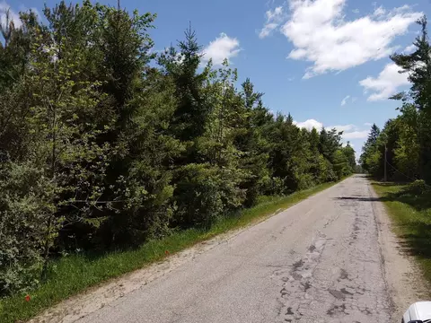 lot2 E West Resort Rd, Alanson, MI 49706
