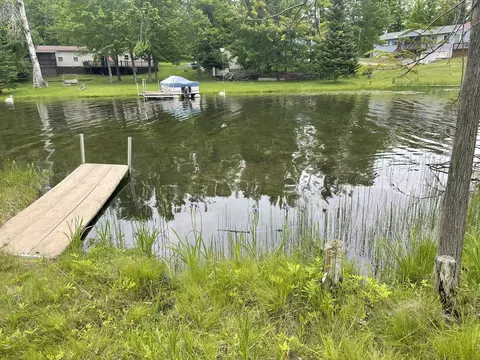 3448 High Pine Ct, Wolverine, MI 49799