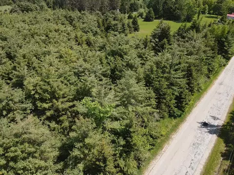 lot3 E West Resort Rd, Alanson, MI 49706
