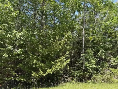 lot86 E Renwick Cir, Presque Isle, MI 49777