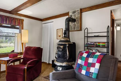 Living - 6612 Old Vanderbilt Rd, Vanderbilt, MI 49795 photo 7 of 9