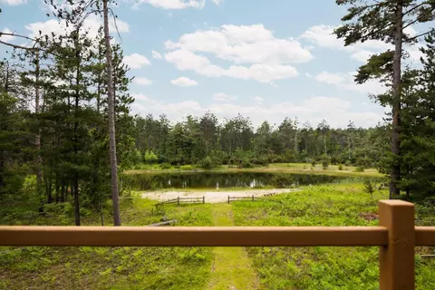 View/Area - 6612 Old Vanderbilt Rd, Vanderbilt, MI 49795 photo 5 of 5