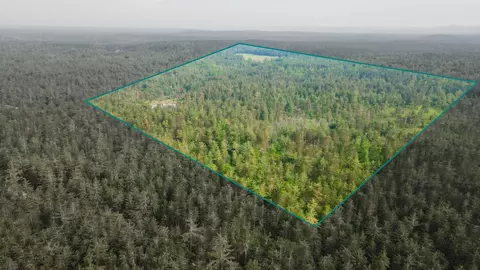 View/Area - 6612 Old Vanderbilt Rd, Vanderbilt, MI 49795 photo 2 of 5