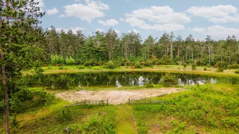 View/Area - 6612 Old Vanderbilt Rd, Vanderbilt, MI 49795 photo 1 of 5