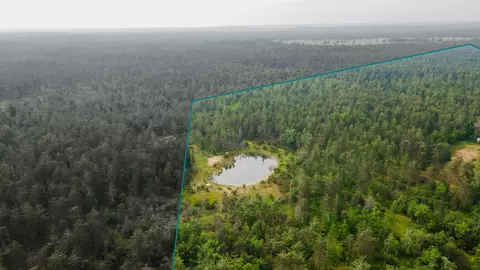View/Area - 6612 Old Vanderbilt Rd, Vanderbilt, MI 49795 photo 3 of 5