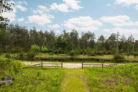 View/Area - 6612 Old Vanderbilt Rd, Vanderbilt, MI 49795 photo 4 of 5