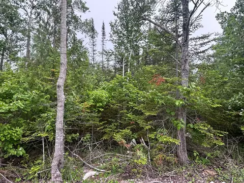 lot133 Laurel Hill Cir, Presque Isle, MI 49777