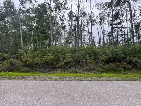 lot92 Pine St, Presque Isle, MI 49777