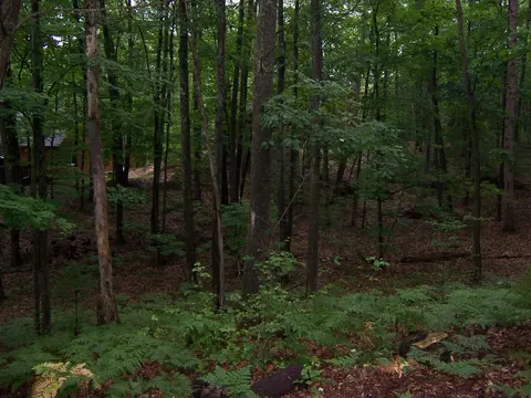 Exterior - 409 Marvin Rd, Roscommon, MI 48653 photo 5 of 9
