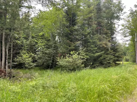 Lot 175 Nestle Road #175, Prudenville, MI 48651