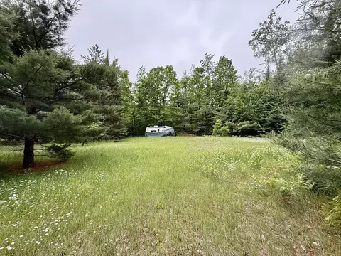 16444 Cricket Trl, Wolverine, MI 49799