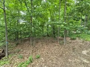1011 Goldfinch St, Gaylord, MI 49735