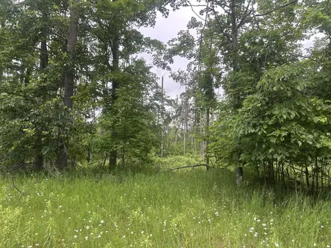 V/l Wheeler Road, Johannesburg, MI 49751