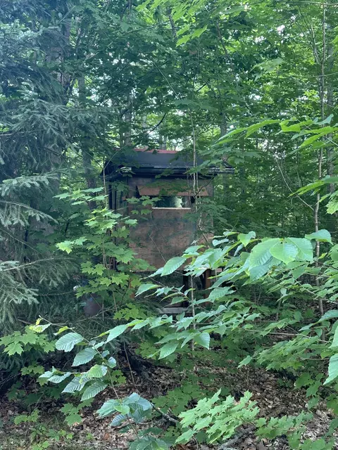 8366 Buck Trl, Frederic, MI 49733 photo 16